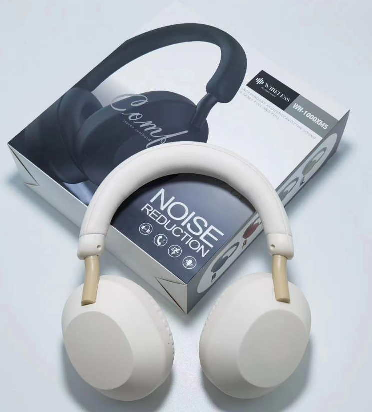 Wireless Noise-Cancelling Earphones