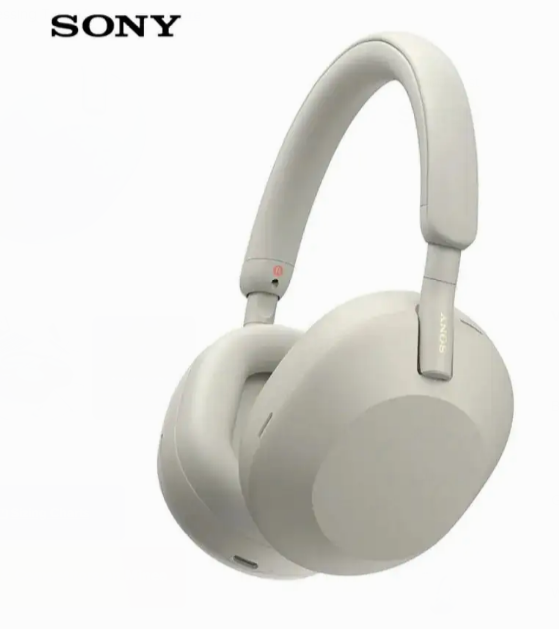 Wireless Noise-Cancelling Earphones